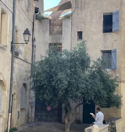 Appartement Cosy Au Coeur De L'Ecusson Montpellier Buitenkant foto