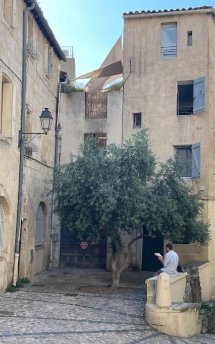 Cosy Au Coeur De L'ecusson Appartement Montpellier